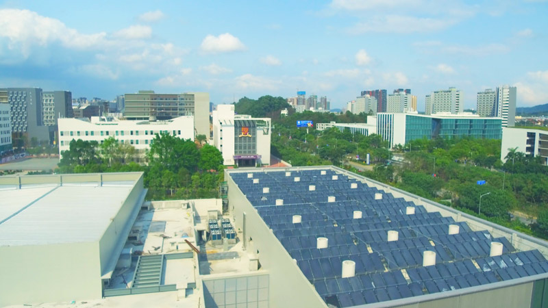 香港中文大学深圳校区